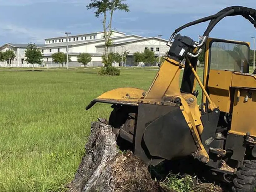 Stump grinder chewing through an old hardwood stump